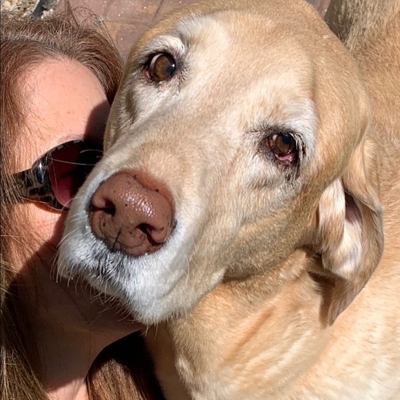 Meet your Posher, Brynn - Picture 2 of 2